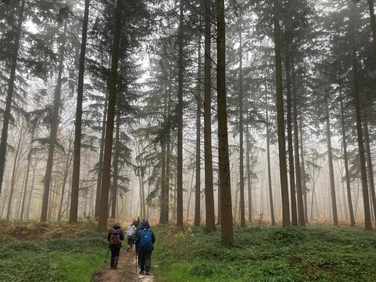 SENLIS DECEMBRE 2024